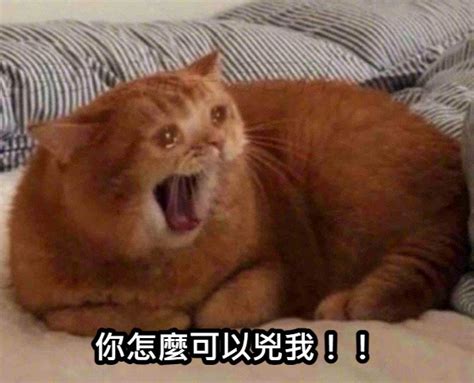 你兇我 梗圖|Meme 梗圖倉庫